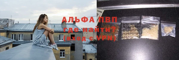 амф Магадан