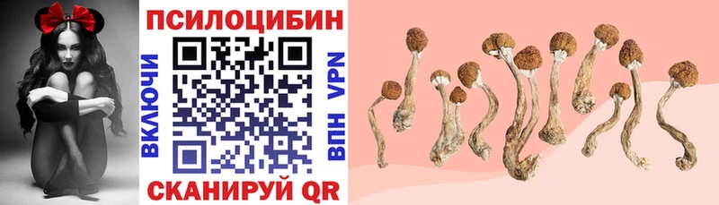 мориарти Telegram  Кочубеевское  Псилоцибиновые грибы ЛСД 
