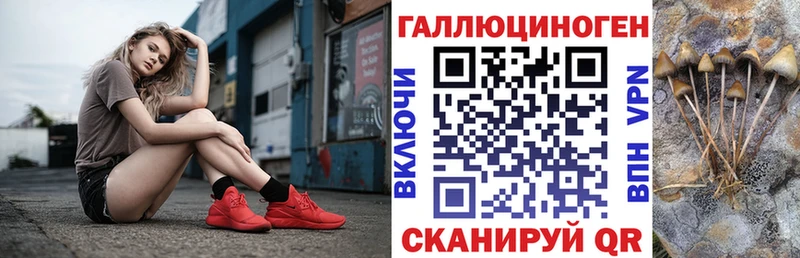 Псилоцибиновые грибы мицелий Кочубеевское
